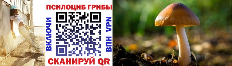 где можно купить наркотик  Слободской  Псилоцибиновые грибы мицелий 